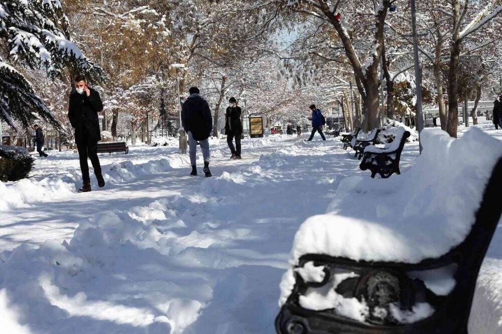 Buz tutan havuzda kuğuların renkli görüntüleri