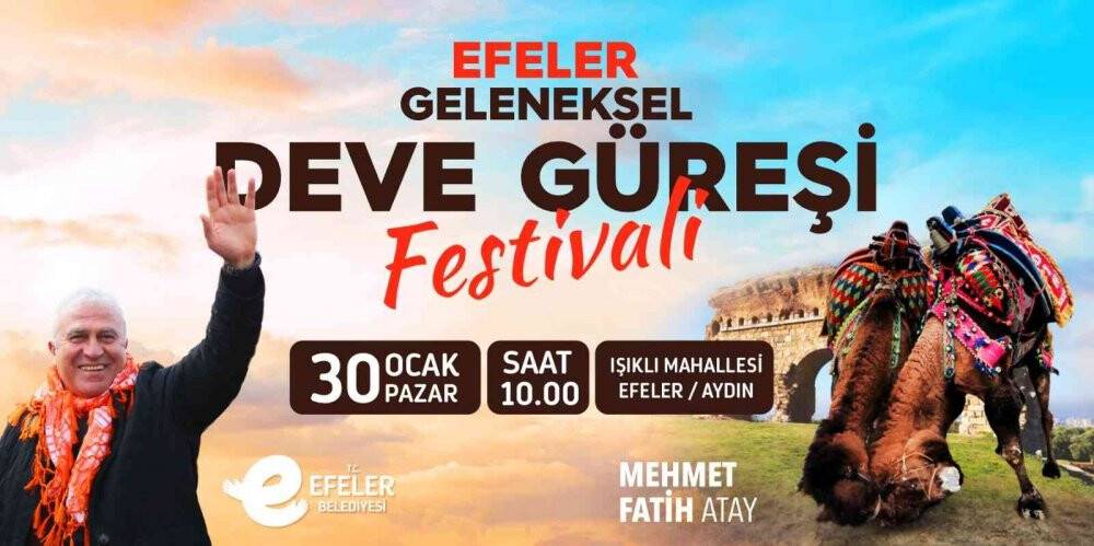 Efeler’de geleneksel deve güreşi için geri sayım başladı