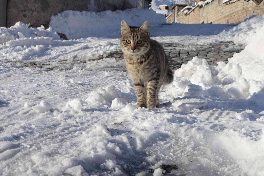 5 bin yıllık tarihi Sille Mahallesinden kartpostallık görüntüler