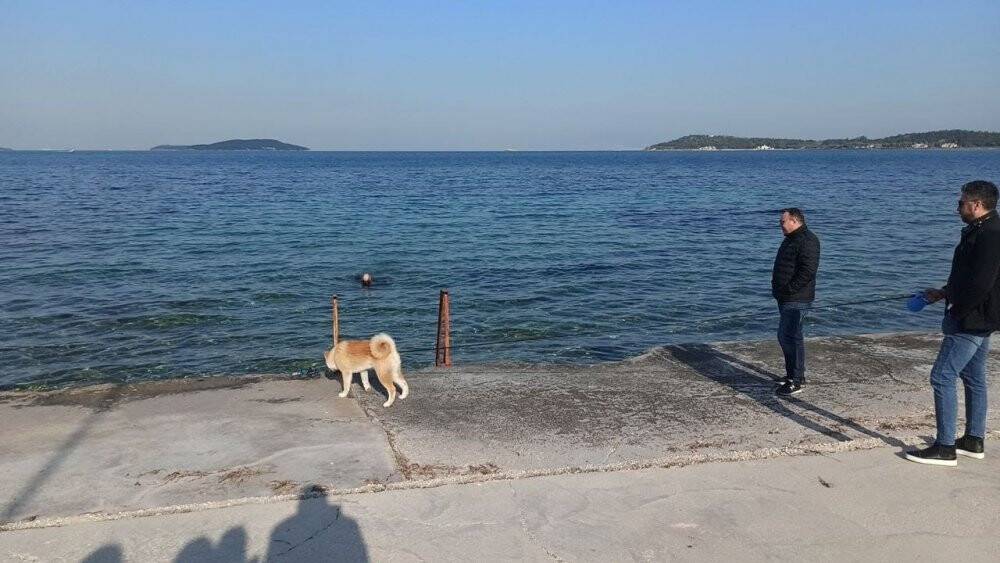 Dondurucu soğukta denize girdi