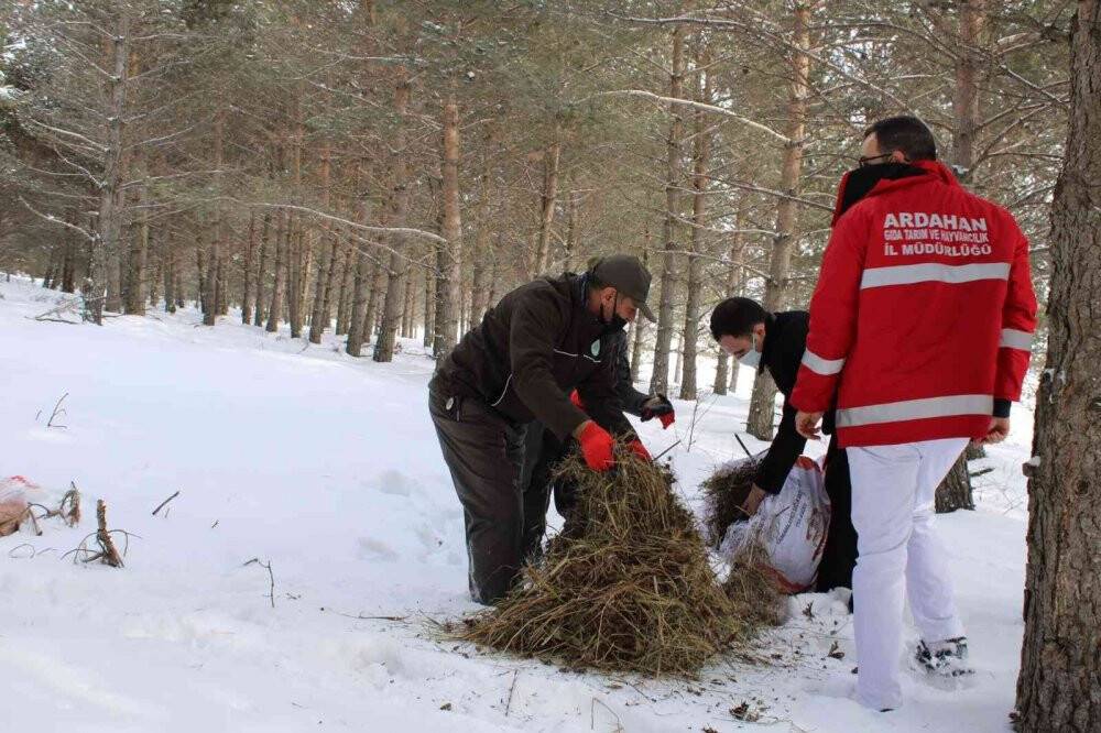 İlçede yaban hayatını unutmadı