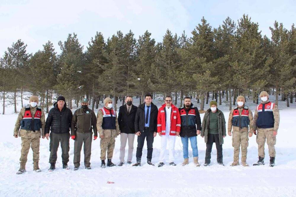 İlçede yaban hayatını unutmadı