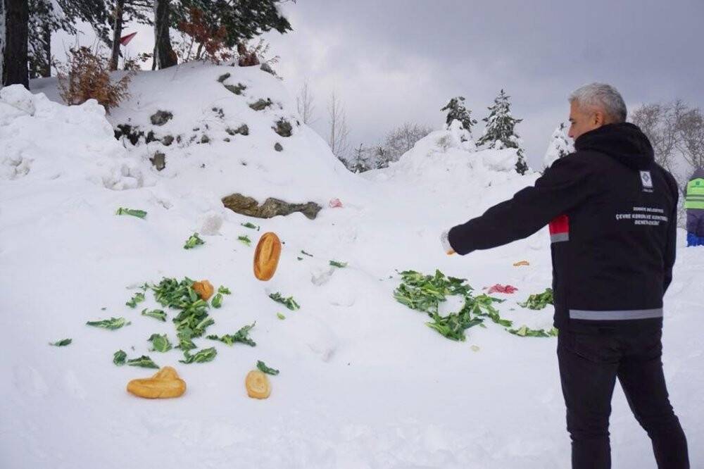 Soğuk havada karlı yollar yaban hayvanları için aşıldı