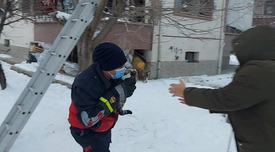 Köpekten kaçıp ağaca çıkan kediyi itfaiye kurtardı