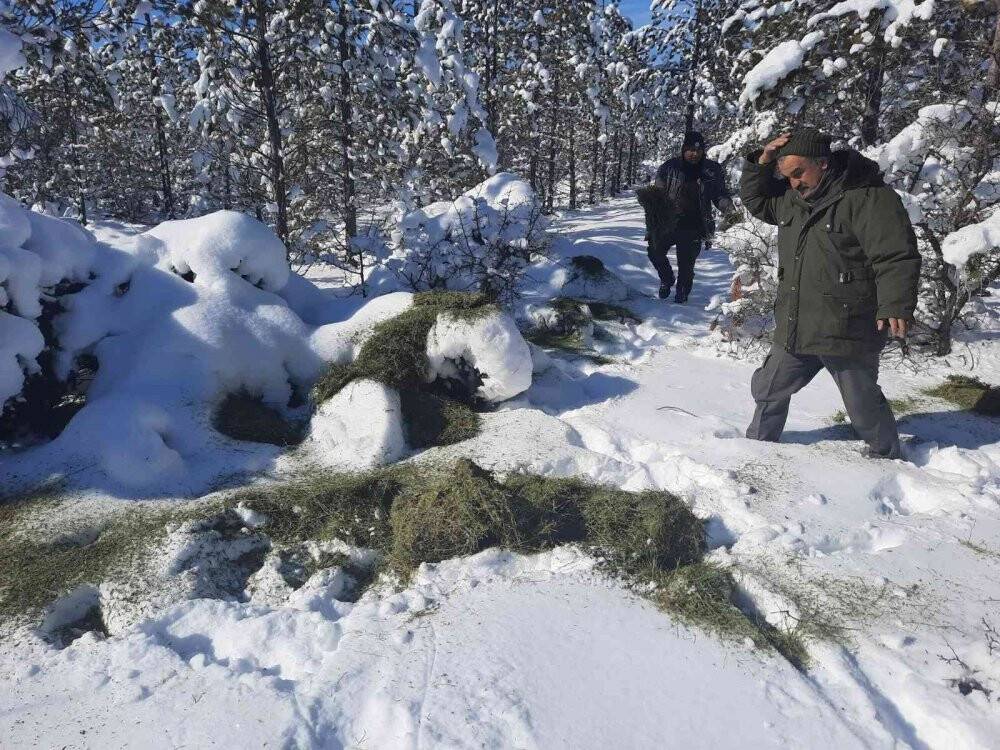 Yaban hayvanları için doğaya yiyecek takviyesi