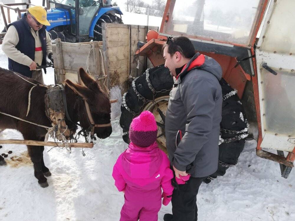 Kızak şenliği renkli görüntülere sahne oldu