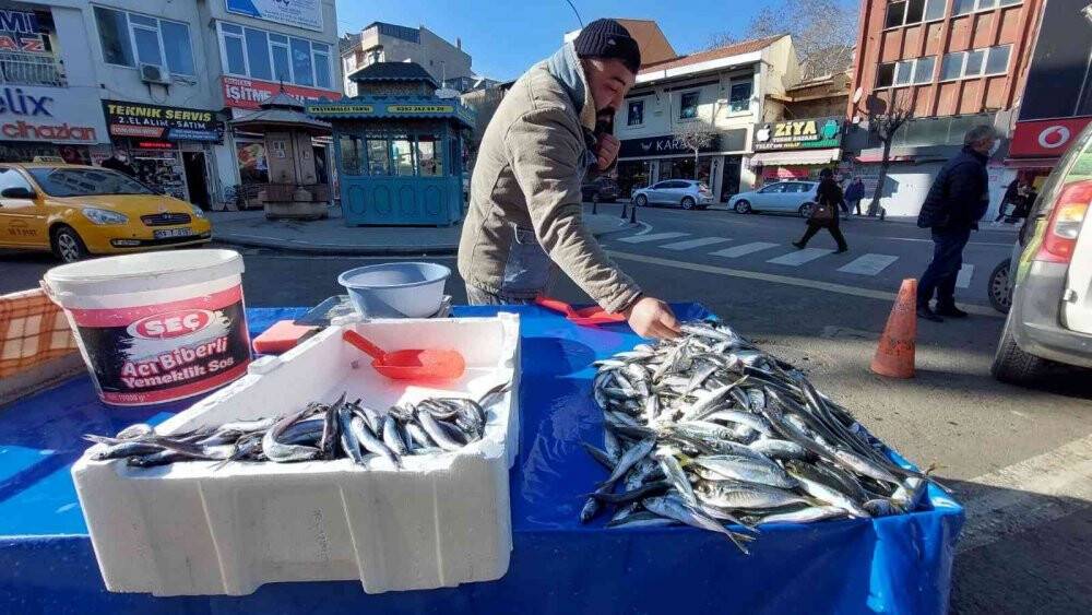 Tekirdağ’da istavrit 20, hamsi 25 TL’ye kadar düştü