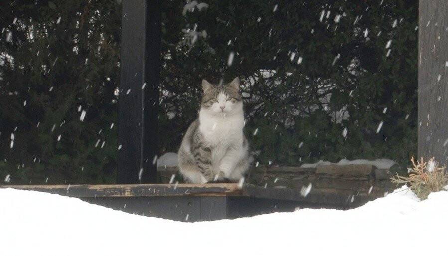 Konya’da karın keyfini çocuklar çıkardı