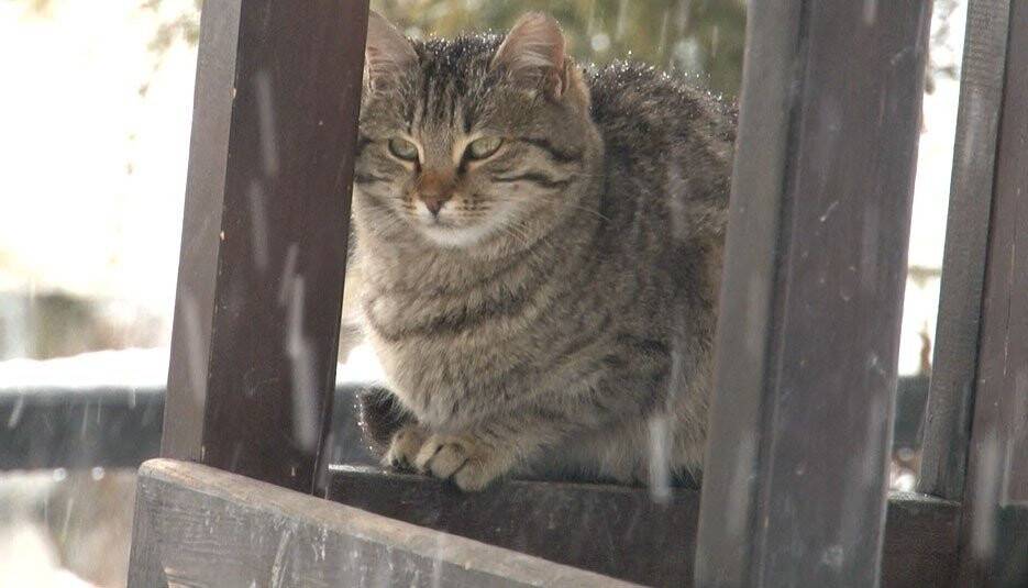 Konya’da karın keyfini çocuklar çıkardı