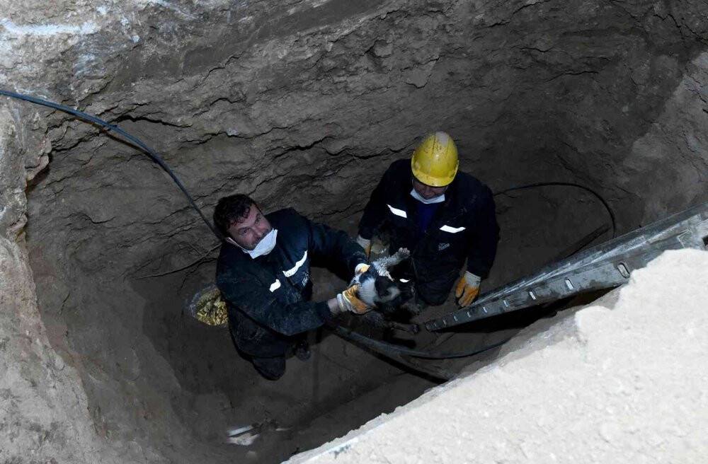 Kanalizasyon hattına giren yavru köpeğe kurtarma operasyonu