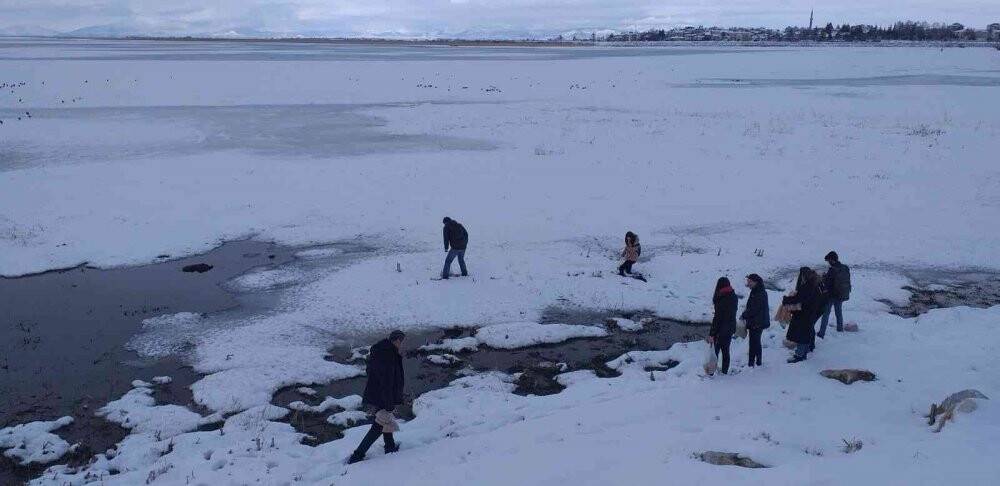 Beyşehir’de üniversiteli öğrencilerden su kuşlarını yemleme mesaisi