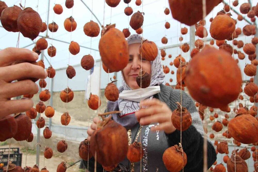 Kuruyunca fiyatı 20 misli artıyor