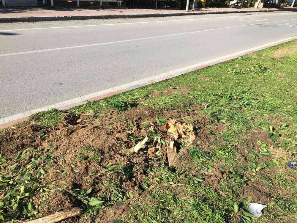 Aracın ağacı biçtiği kazada genç sürücü hayatını kaybetti