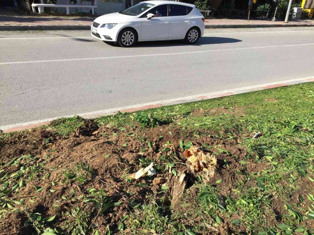 Aracın ağacı biçtiği kazada genç sürücü hayatını kaybetti