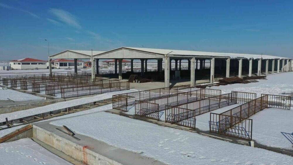 Başkan Altay: Türkiye’nin en büyük hayvan pazarlarından birini yapıyoruz