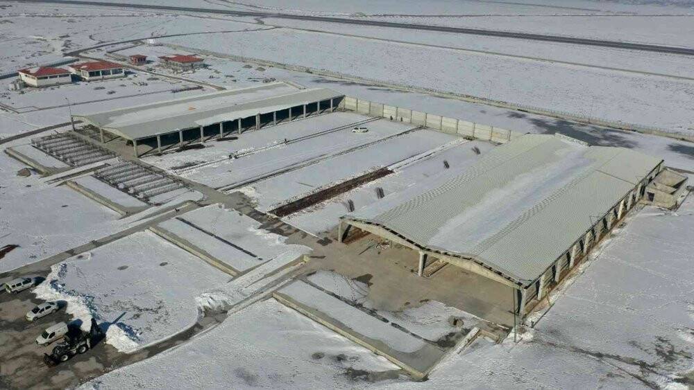 Başkan Altay: Türkiye’nin en büyük hayvan pazarlarından birini yapıyoruz