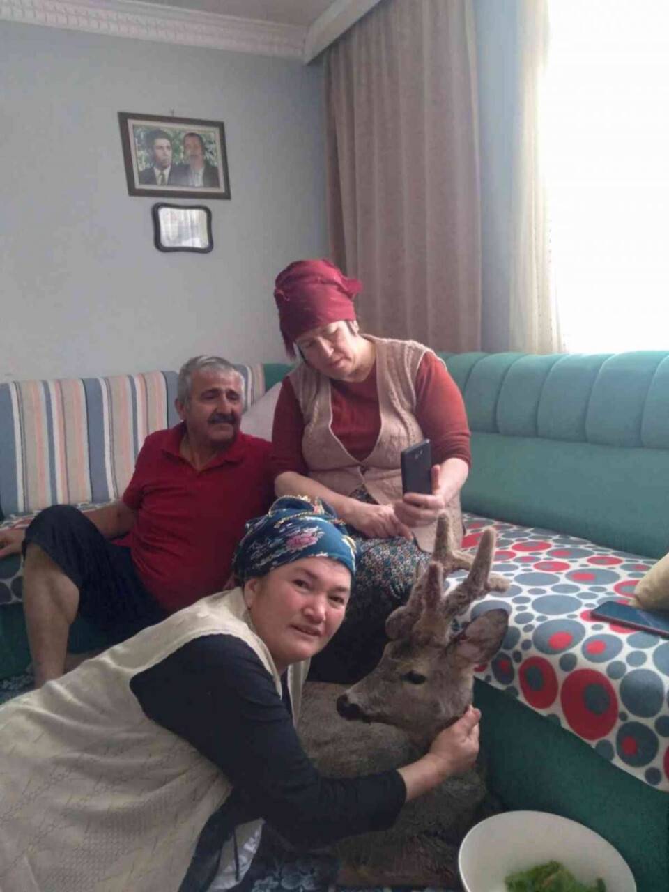 Yaralı karacayı evine alıp bebek gibi sevdi