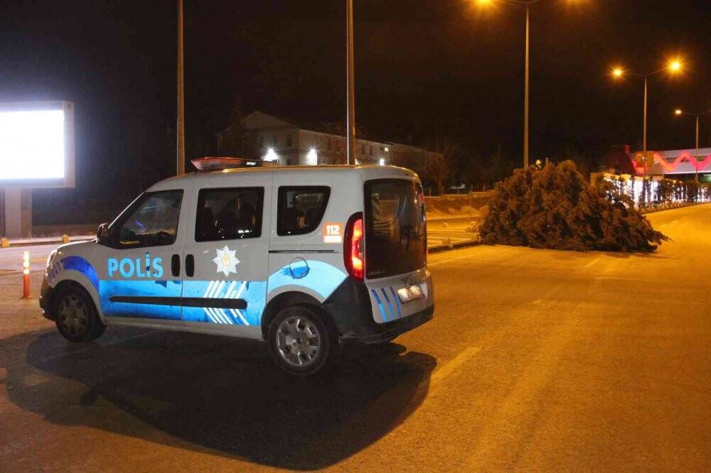Karaman’da şiddetli rüzgar çatıları uçurdu, ağaçları kökünden söktü