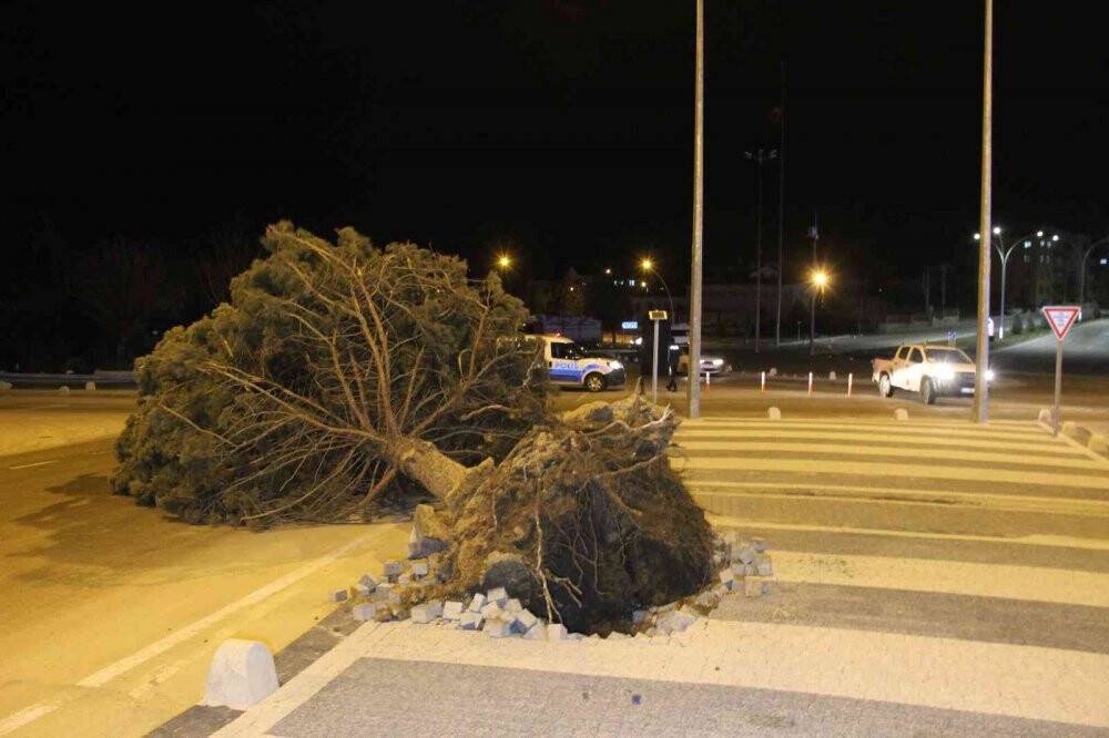 Karaman’da şiddetli rüzgar çatıları uçurdu, ağaçları kökünden söktü