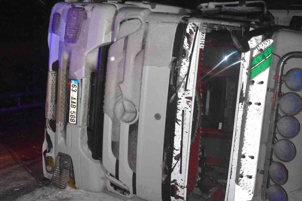 Angus taşıyan tır devrildi, dorseden düşen anguslar karayoluna dağıldı