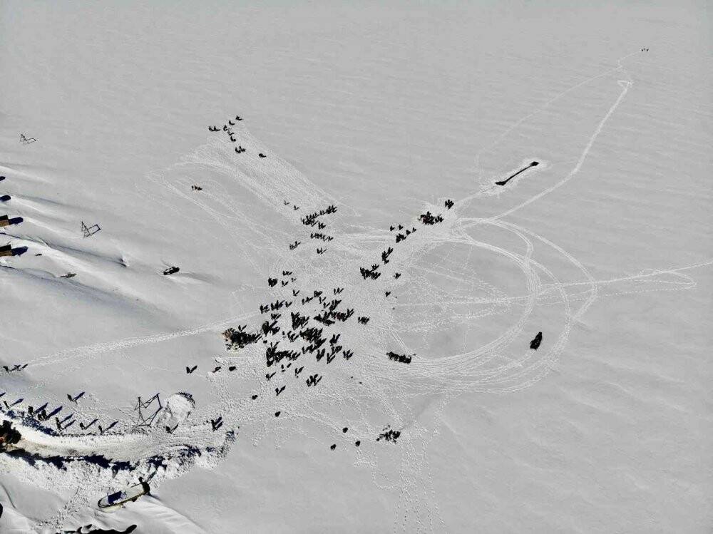 Doğu’nun saklı güzelliği “Balık Gölü” etkinliklere ev sahipliği yaptı
