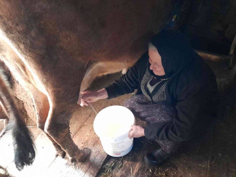Koronavirüs nedeniyle yayladan hiç inmediler