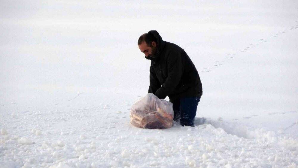 Yaban hayvanları için doğaya ekmek bıraktı
