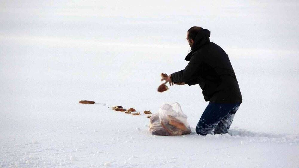 Yaban hayvanları için doğaya ekmek bıraktı