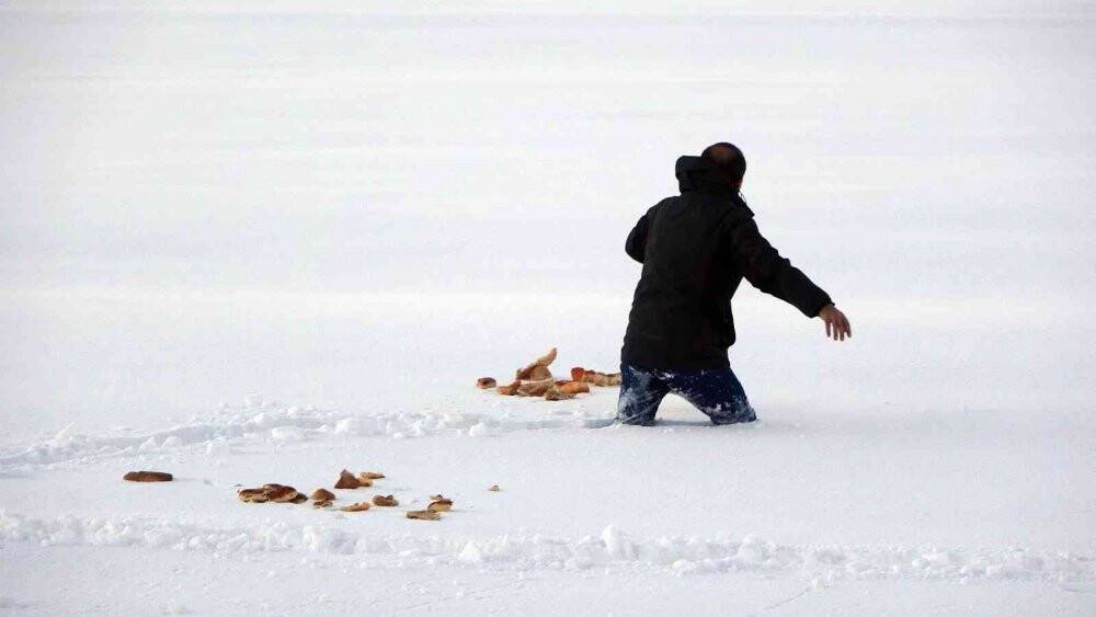Yaban hayvanları için doğaya ekmek bıraktı