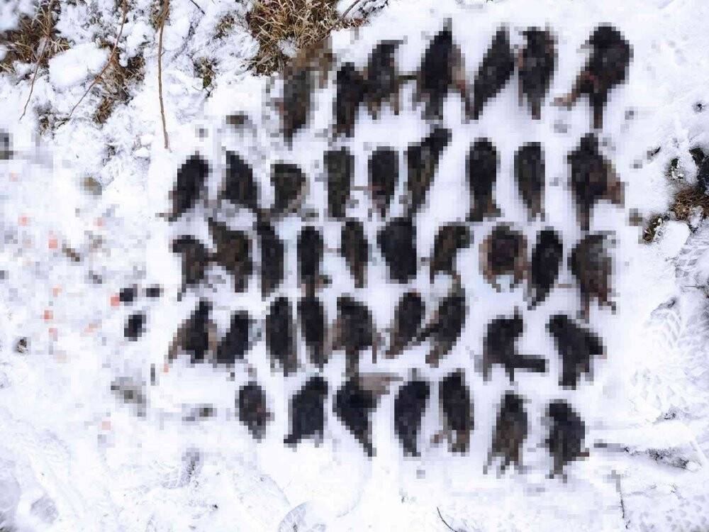 Konya’da milli parkta avlanmaya 80 bin lira ceza