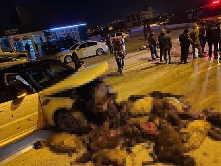 Hatay’da 58 hayvanın telef olduğu kaza kamerada