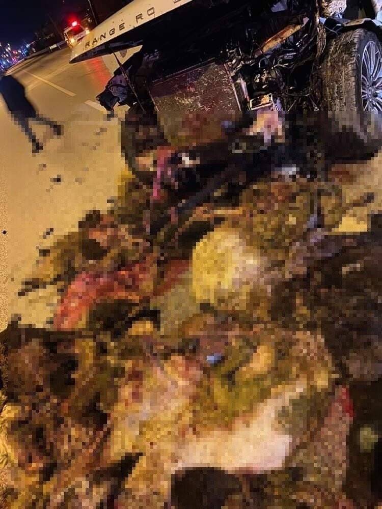 Hatay’da 58 hayvanın telef olduğu kaza kamerada