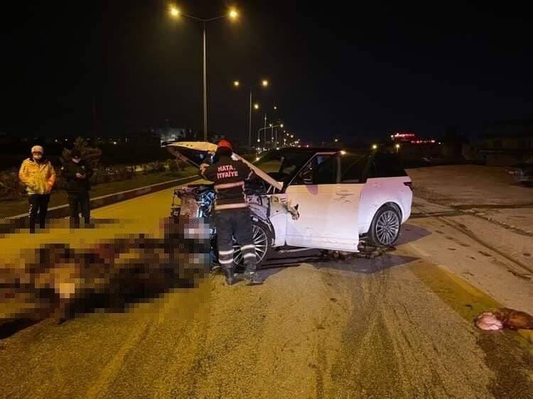 Hatay’da 58 hayvanın telef olduğu kaza kamerada