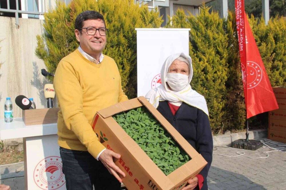 360 bin adaçayı ve kekik fidesi dağıtıldı