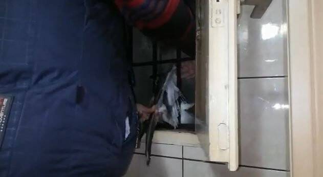 Hava boşluğuna düşen martıyı vatandaşlar kurtardı