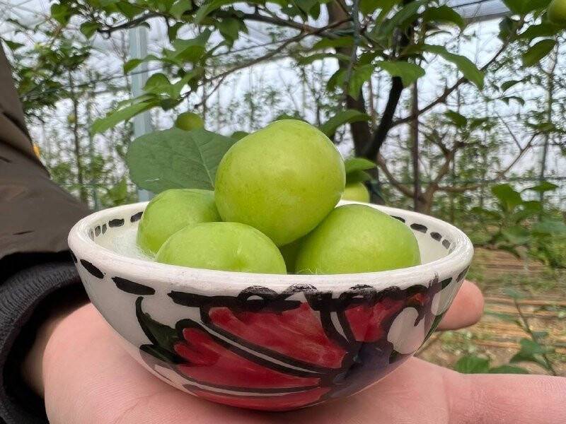 Kilosu 2 bin liradan satılıyor