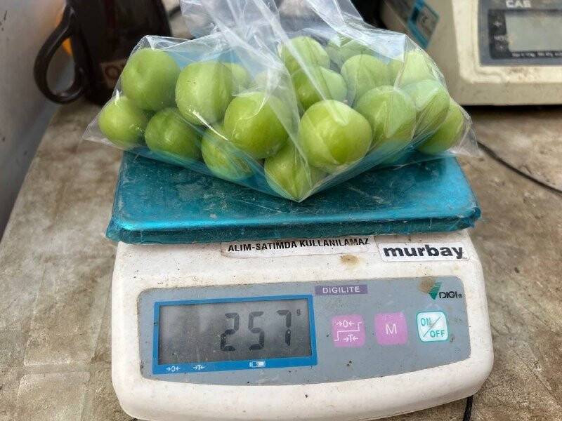 Kilosu 2 bin liradan satılıyor