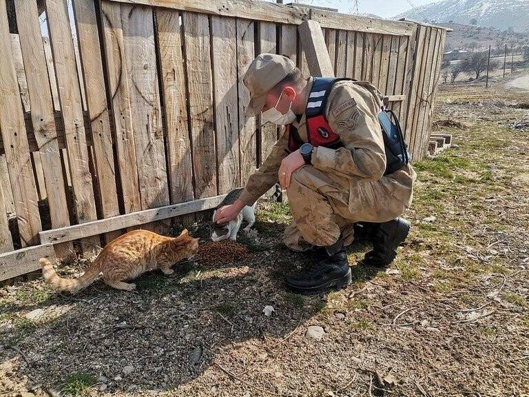 Jandarmadan sokak hayvanlarına mama desteği