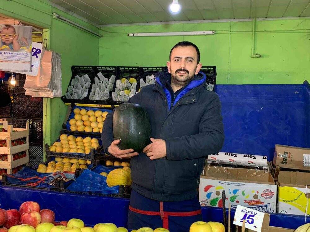 Karpuz tezgahlara düştü