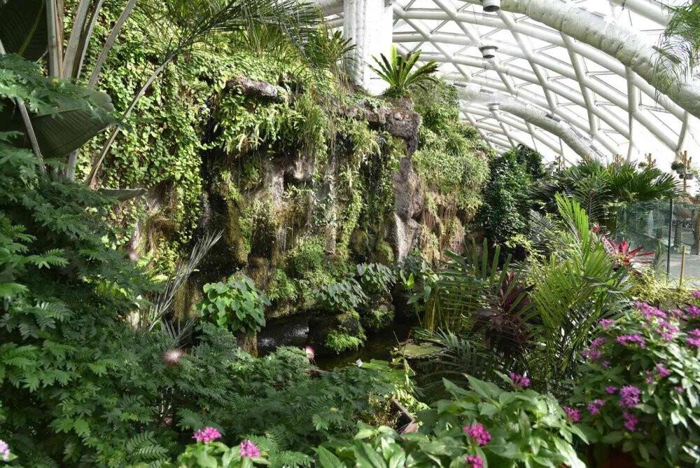 Tropikal Kelebek Bahçesi yenilenen yüzüyle ziyaretçilerine kapılarını açtı