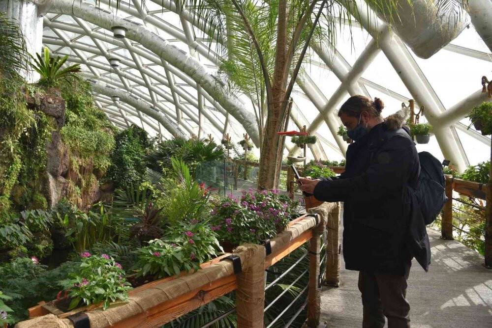 Tropikal Kelebek Bahçesi yenilenen yüzüyle ziyaretçilerine kapılarını açtı