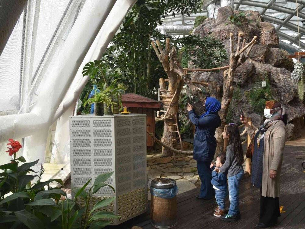 Tropikal Kelebek Bahçesi yenilenen yüzüyle ziyaretçilerine kapılarını açtı