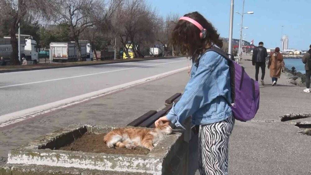 Kayalıklar kedilerin barınağı haline geldi