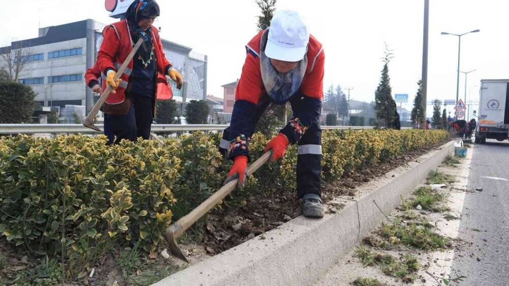 Bitkiler bahara hazırlanıyor