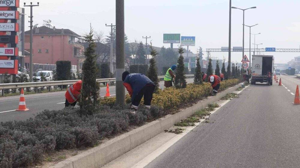 Bitkiler bahara hazırlanıyor