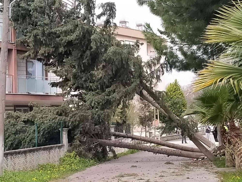 Hatay’da fırtına çatıları uçurdu ağaçları kökünden söktü