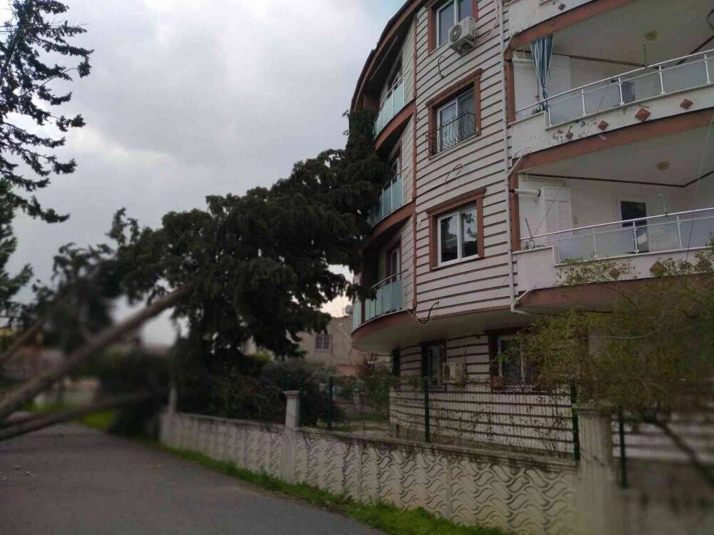 Hatay’da fırtına çatıları uçurdu ağaçları kökünden söktü