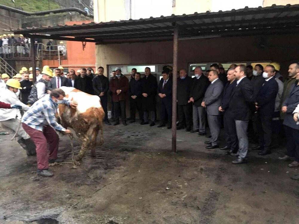 Amasra’da mekanize panoda üretime başlandı