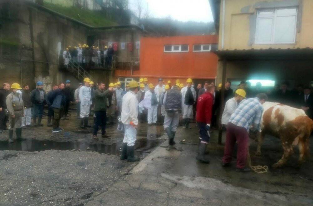 Amasra’da mekanize panoda üretime başlandı
