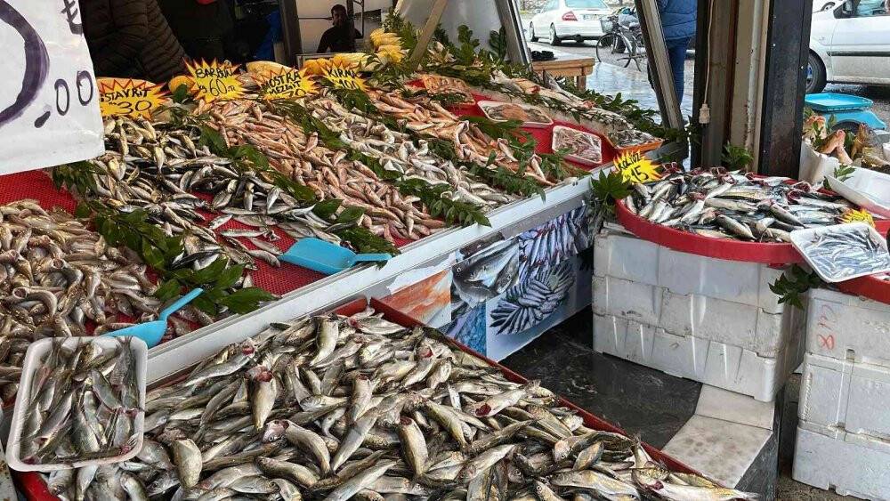 Balık tezgahlarında bolluk yaşanıyor